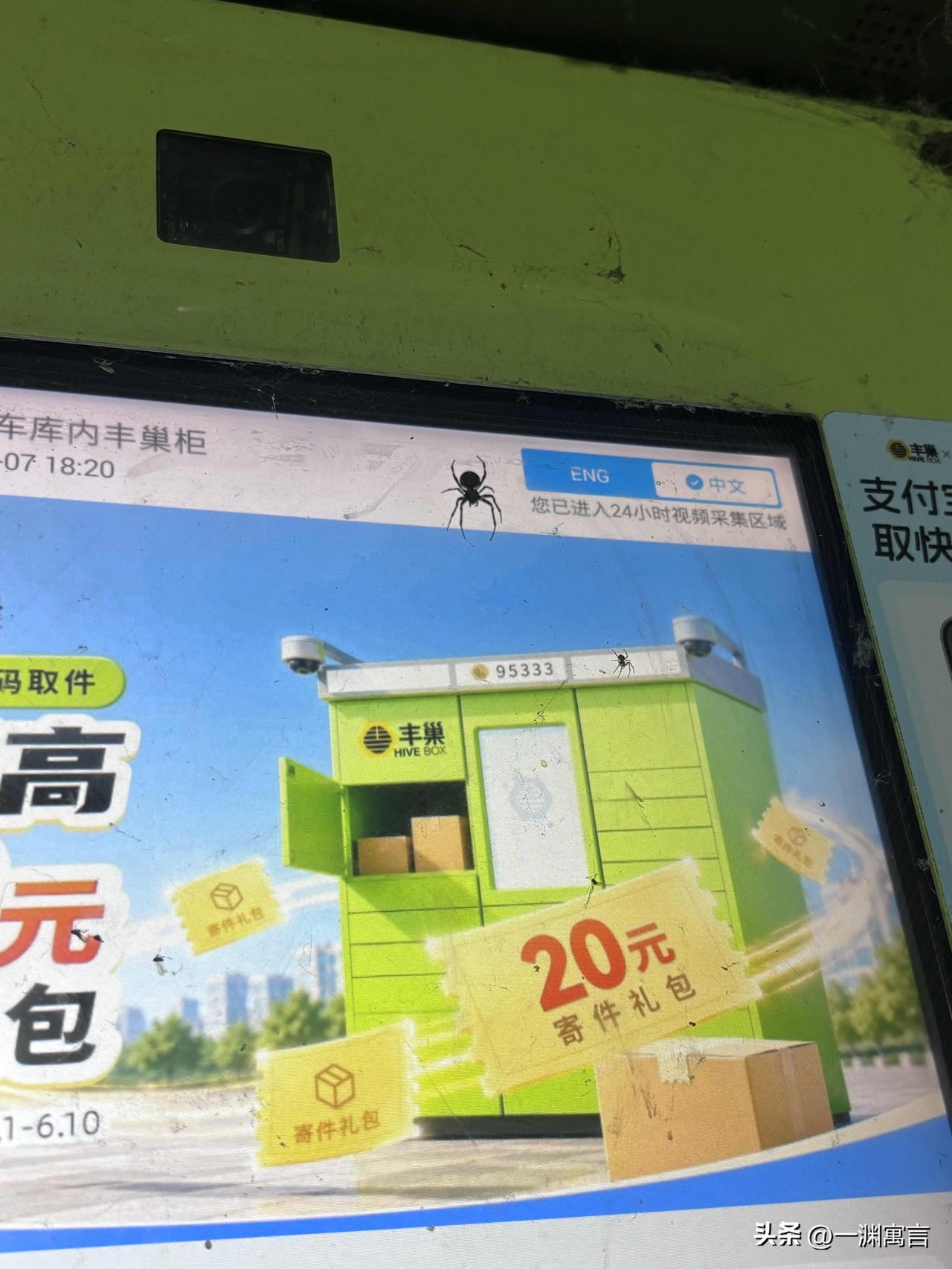 今天去拿快递的时候，第一次看到这么大的蜘蛛🕷️但我并不觉得害怕，反而觉得很高兴