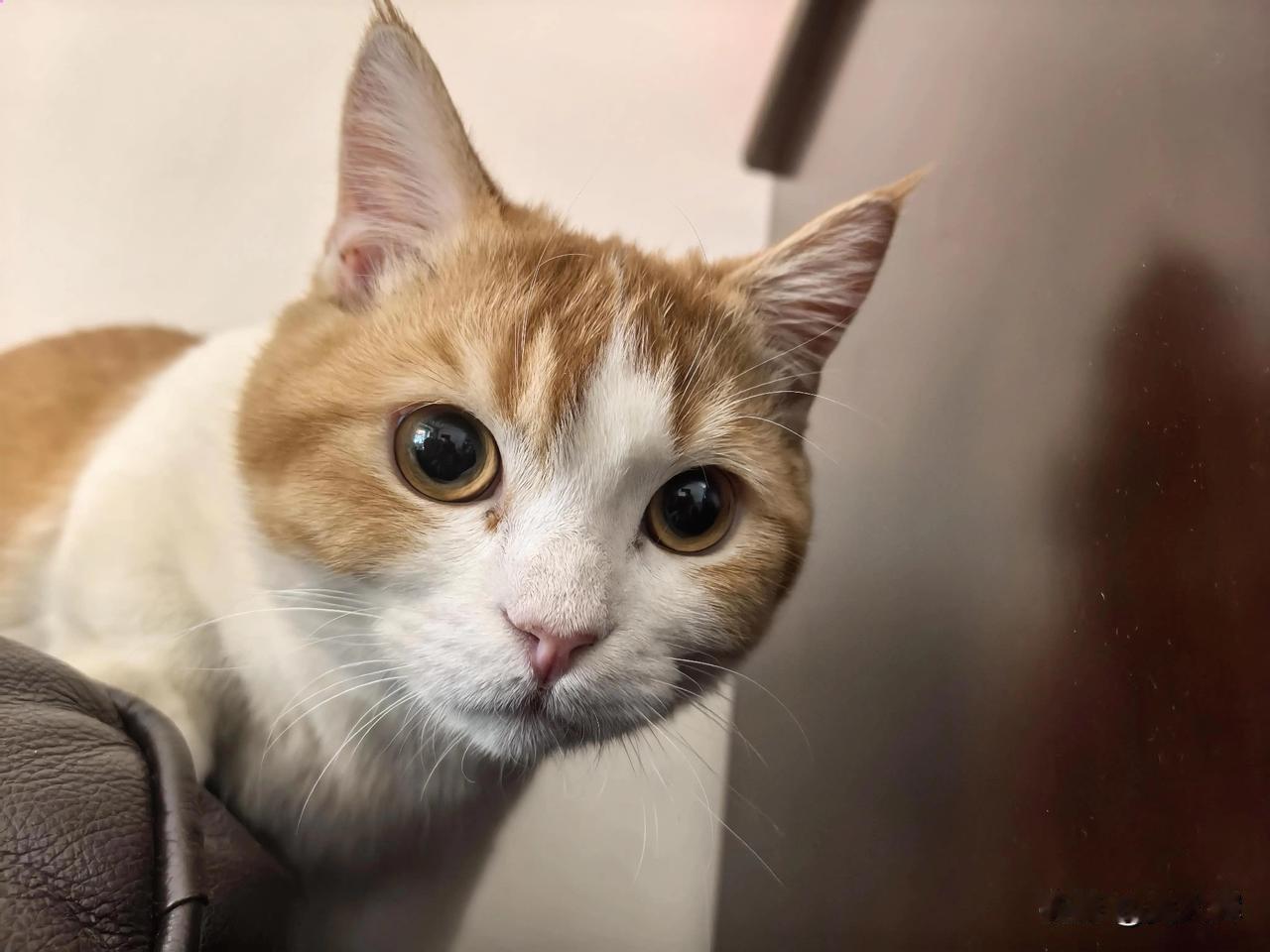 新规：在俄罗斯工作的外国公民将被强制承担家属赡养义务
 
在俄工作的外国公民将负