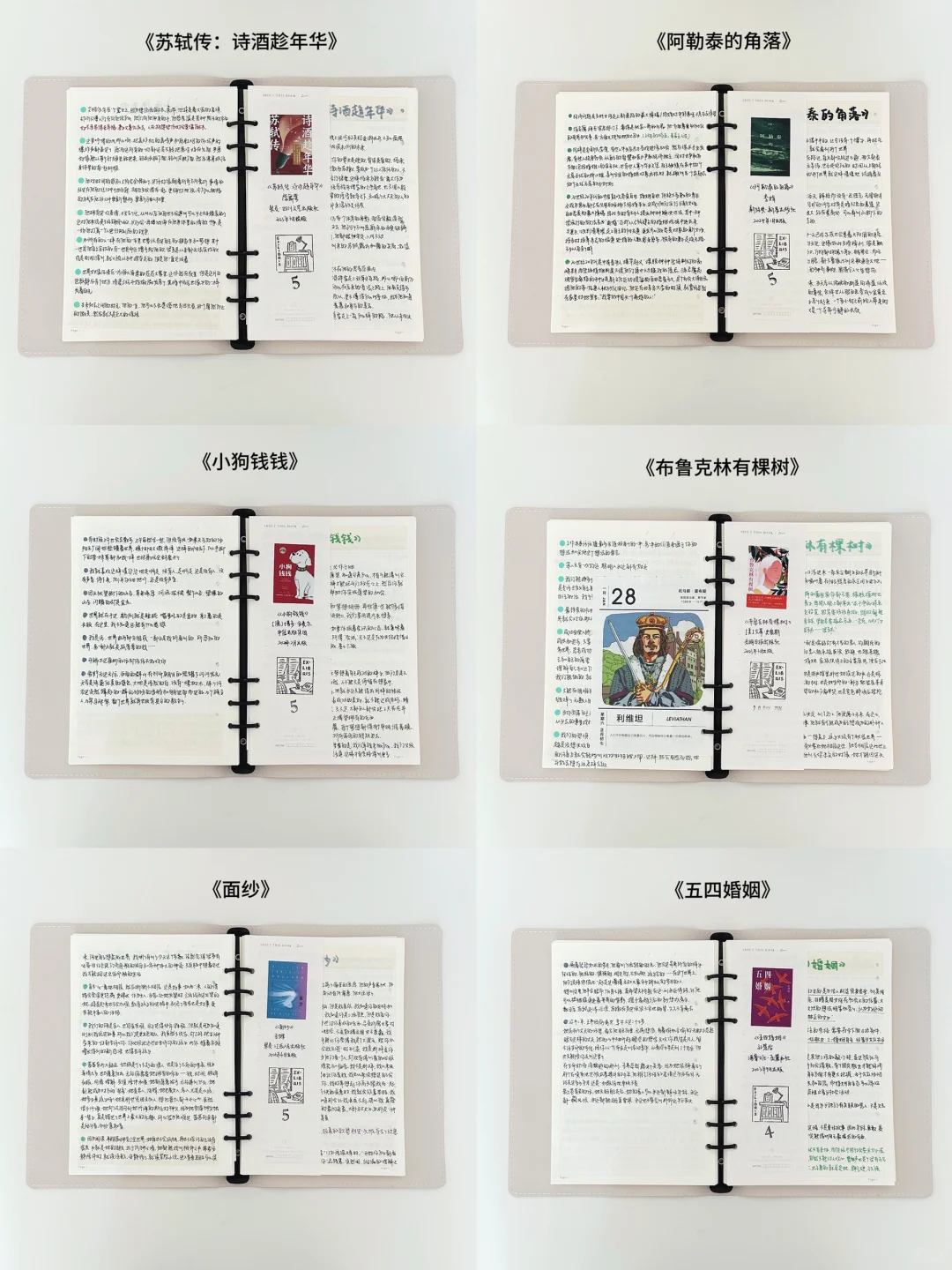 读书笔记‘’/ 是我坚持了很久很久的一件事🐣