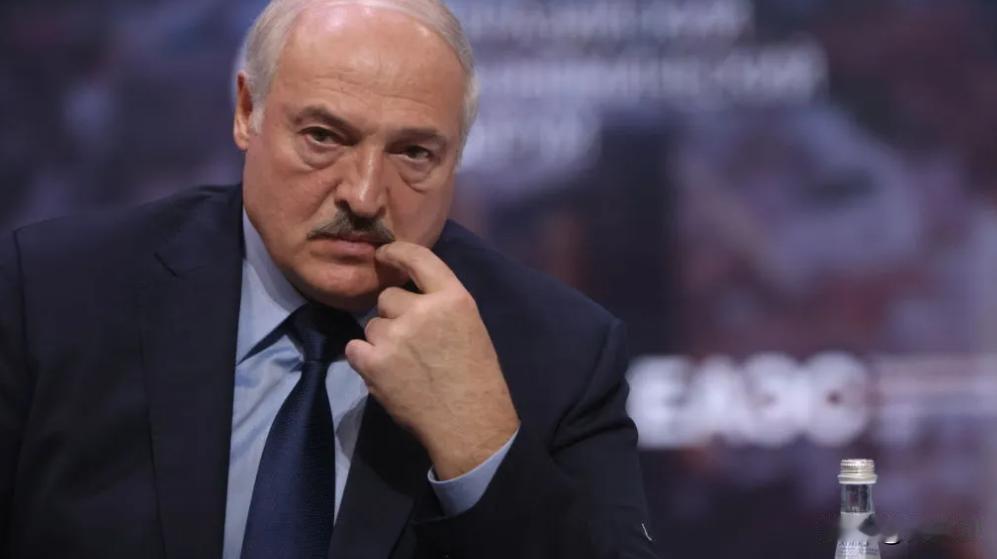 英国在操纵投票周年纪念日对卢卡申科政权实施制裁
据英国政府网站称，8月9日，在白