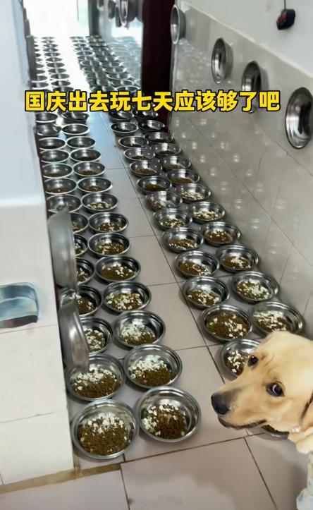 过了国庆就是年 ​​​