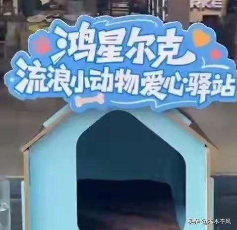 鸿星尔克这个操作基本就是作死行为，不仅爱狗人士不会感激，也让大部分不养狗的人觉得