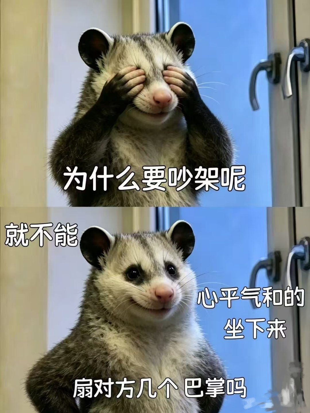 对。我扇死你。 