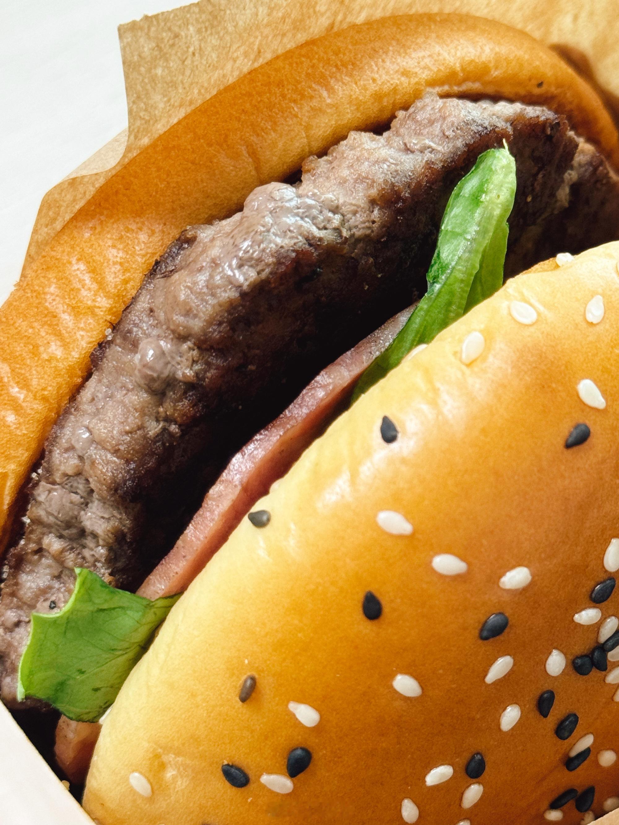 多年拍照选手告诉你，在西藏这样远大空的🐶都可以拍出大片，与其纠结设备，不如多出