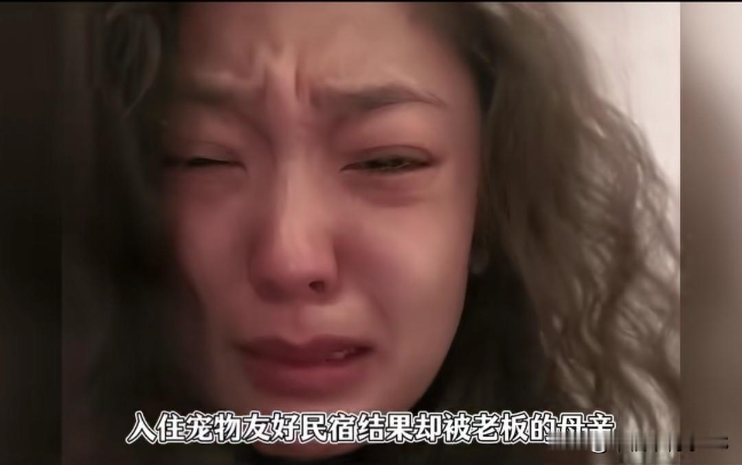 带养了8年的猫住宠物民宿，转头被店家的妈妈将直接扔大马路上放生。
 
事情发生在