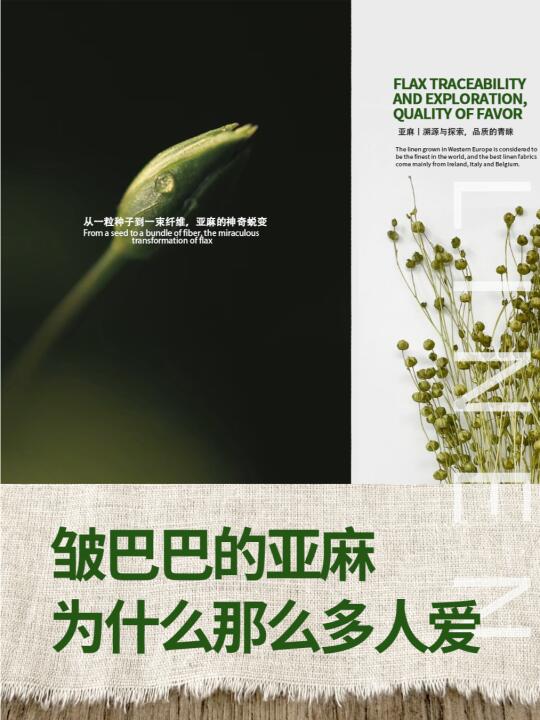 能默默帮你提升贵气的亚麻