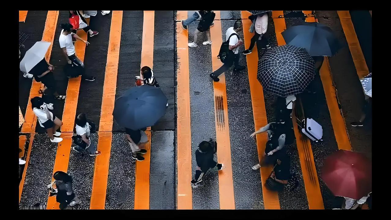 社会的本质是经济，经济就是社会的发展方式，社会遵循的是人性，经济遵循的是物理规律