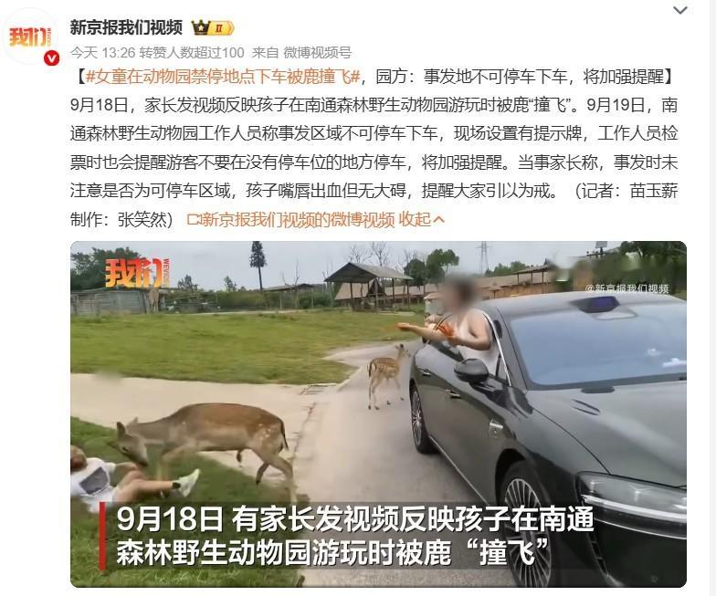 女童在动物园禁停地点下车被鹿撞飞 看了整个事发视频，明显是家长和女孩的责任，不能