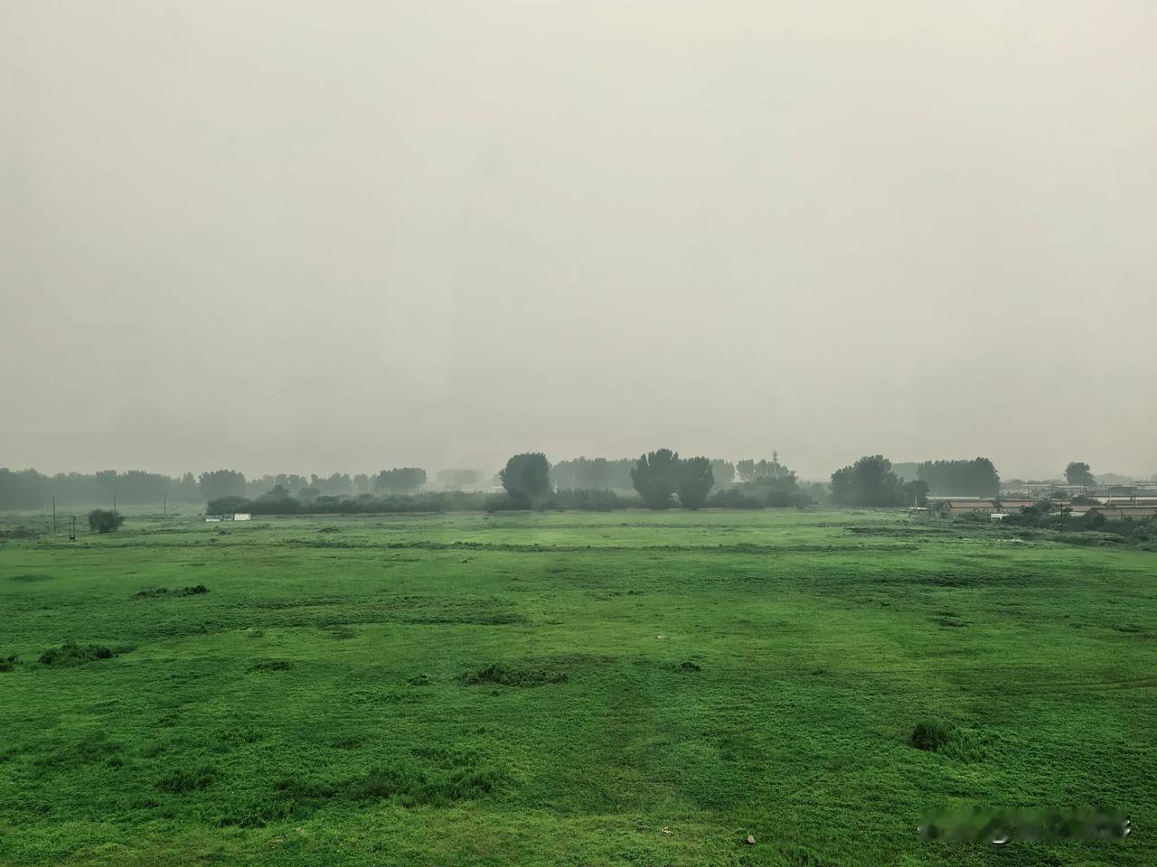 预报今天一天的雨，一早就哗啦啦下了一场，今天又无法出门了。

今儿给猫收拾收拾猫