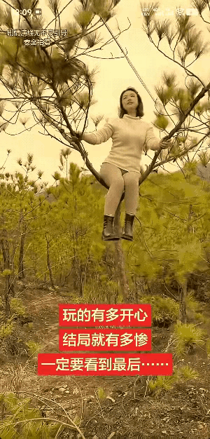 公园里的悲剧真让人又气又无奈，一位女子爬上公园的小树，还在上面使劲摇晃拍照卖萌，
