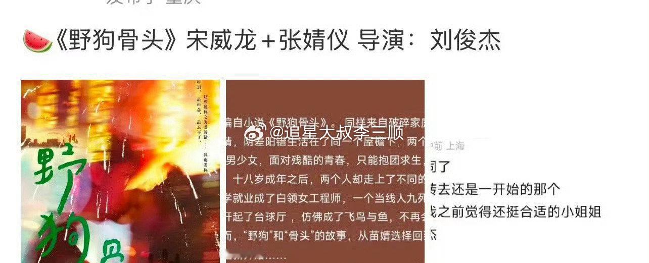 网传张婧仪宋威龙出演野狗骨头，搭嘛？ 