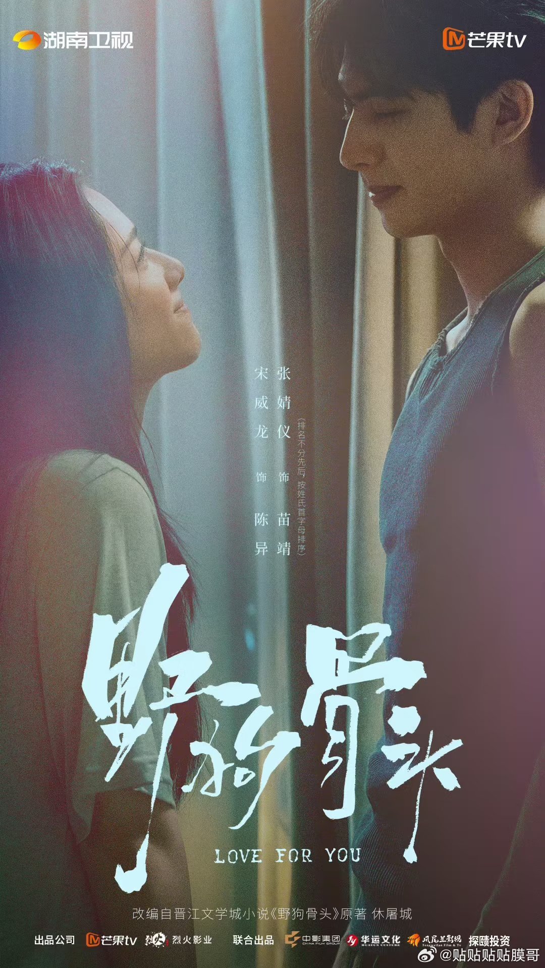 暑假档大剧谁能杀出重围宋威龙 张婧仪《野狗骨头》7.5（暂定）虞书欣 陈靖可《灿