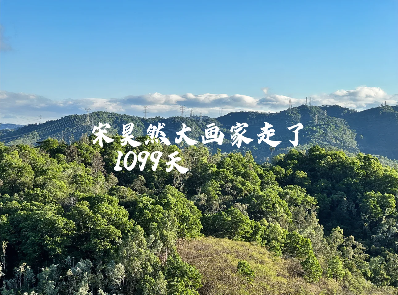 宋昊然大画家走了1099天