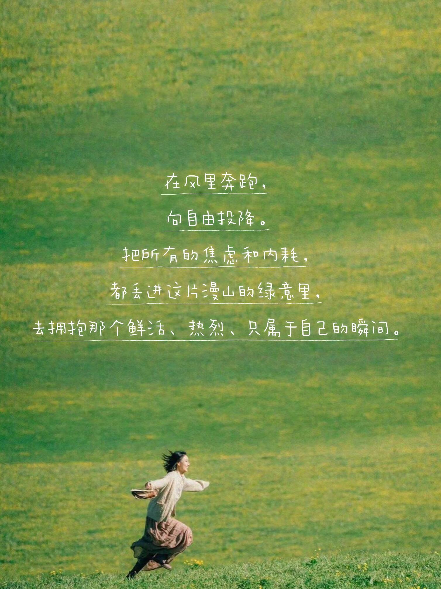 去见山，去见海，去见鲜活的自己 🍃在天地辽阔面前，所有的焦虑、内耗、自我怀疑，