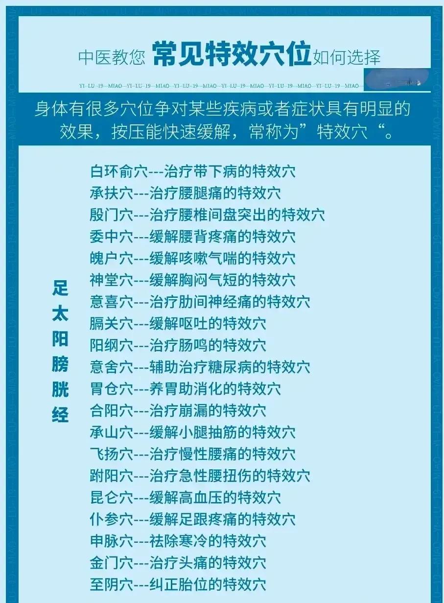 你是否听说过中医特效穴？这些穴位不仅能缓解各种症状，还有助于提升整体健康水平。今