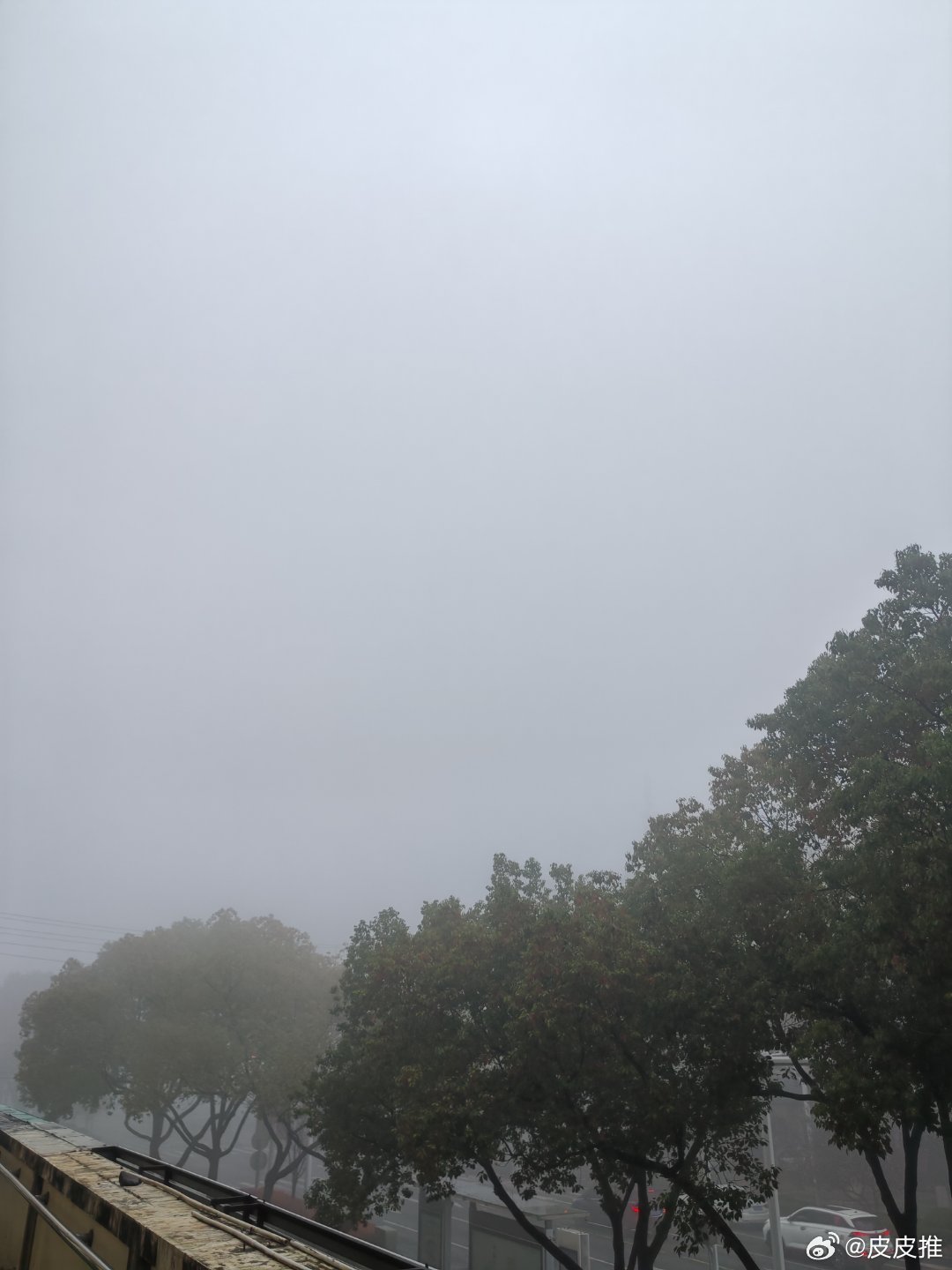 坐标南京溧水，好大的雾！ 