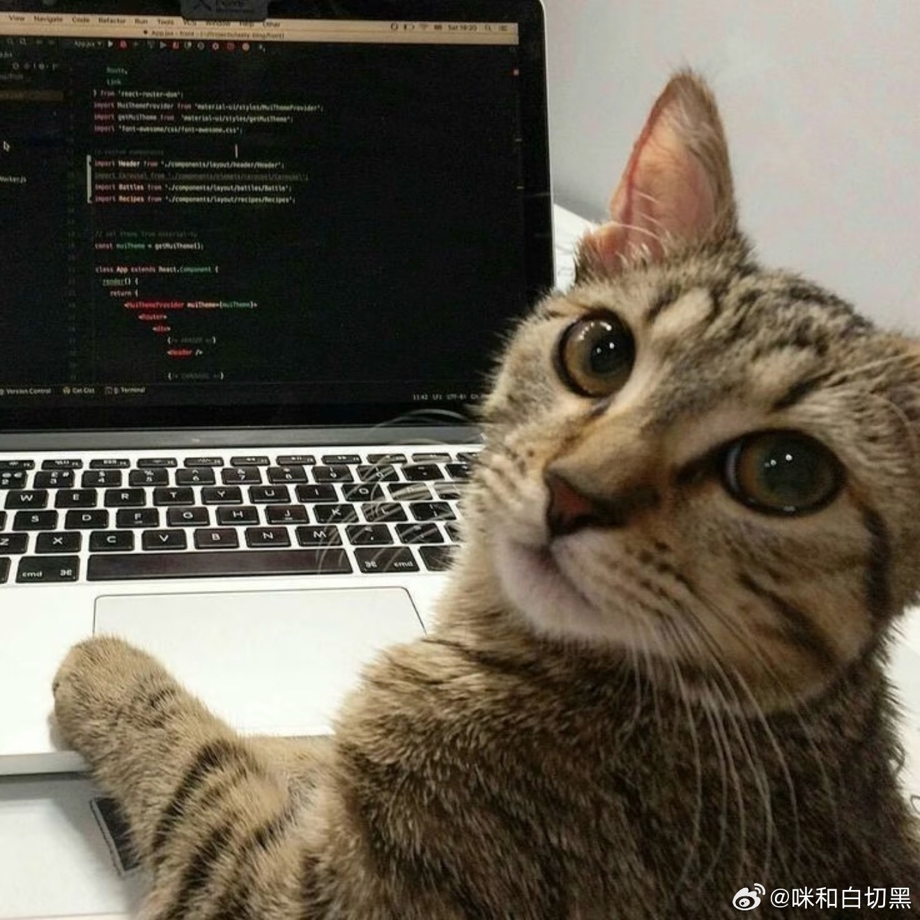 我的神秘技能我会键盘快速盲打，在黑夜里不开灯的敲字速度和开灯状态是一样的，因为我