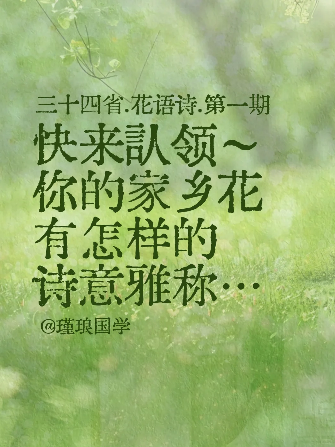 快来认领～你的家乡花有怎样的诗意雅称…