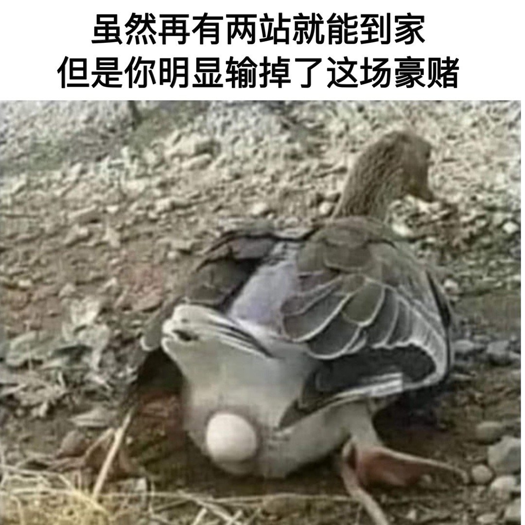 输得彻底#meme# ​​​