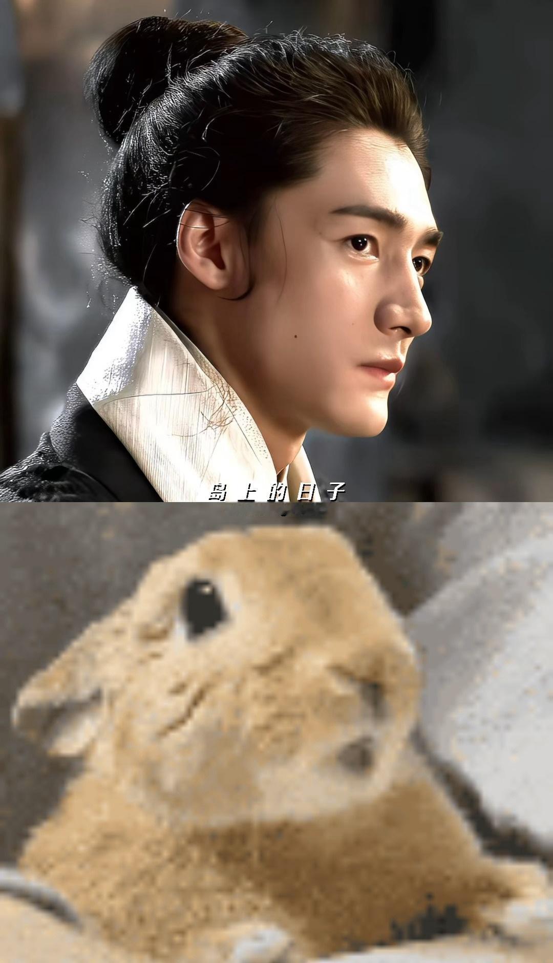 此沙超话 🐰 此沙烈阳之上 

看到这个咀嚼动作就想起这个兔子，拼到一起还挺像