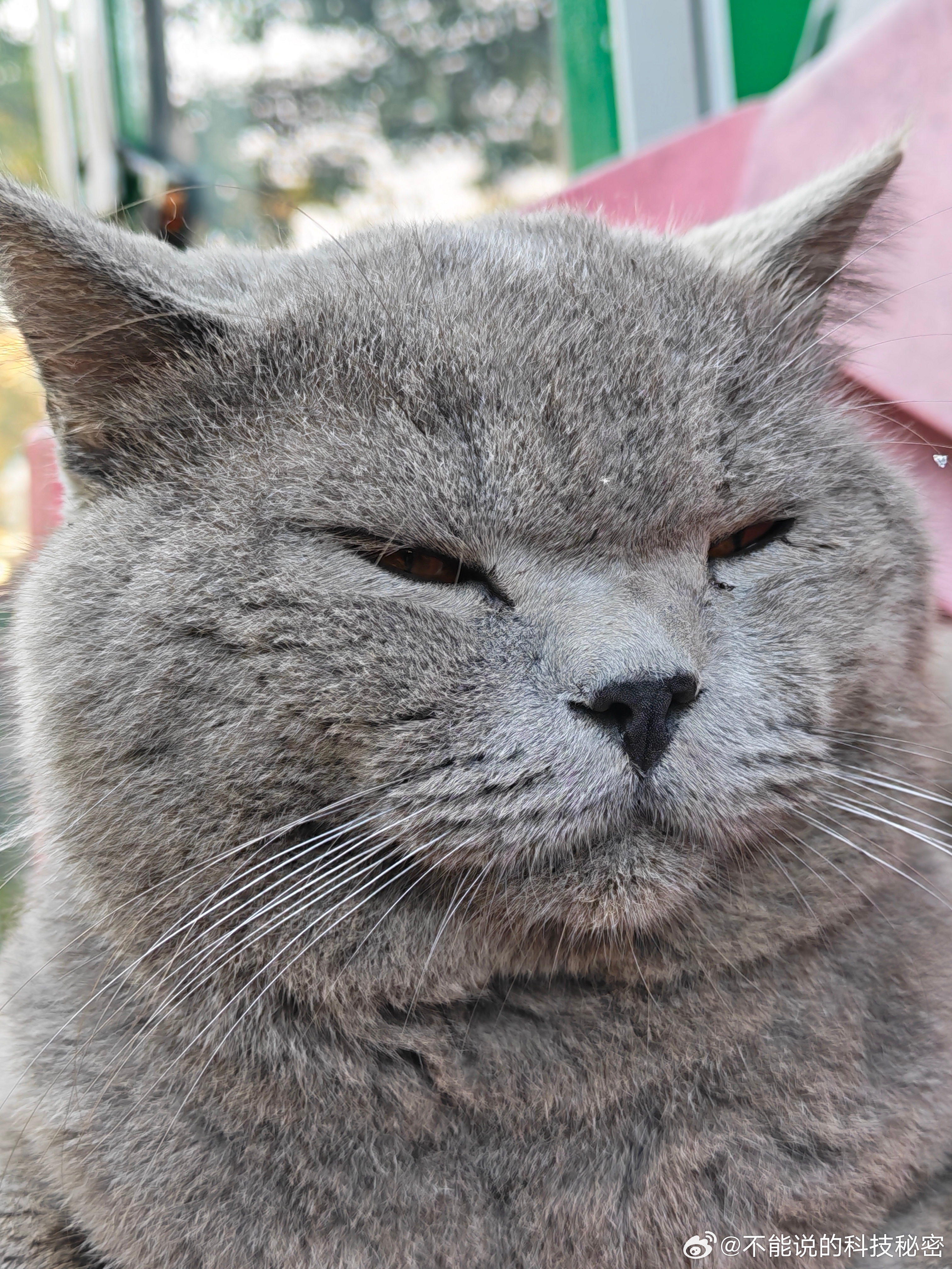 谁来给它起个名字？ 海口·观澜湖华谊冯小刚电影公社