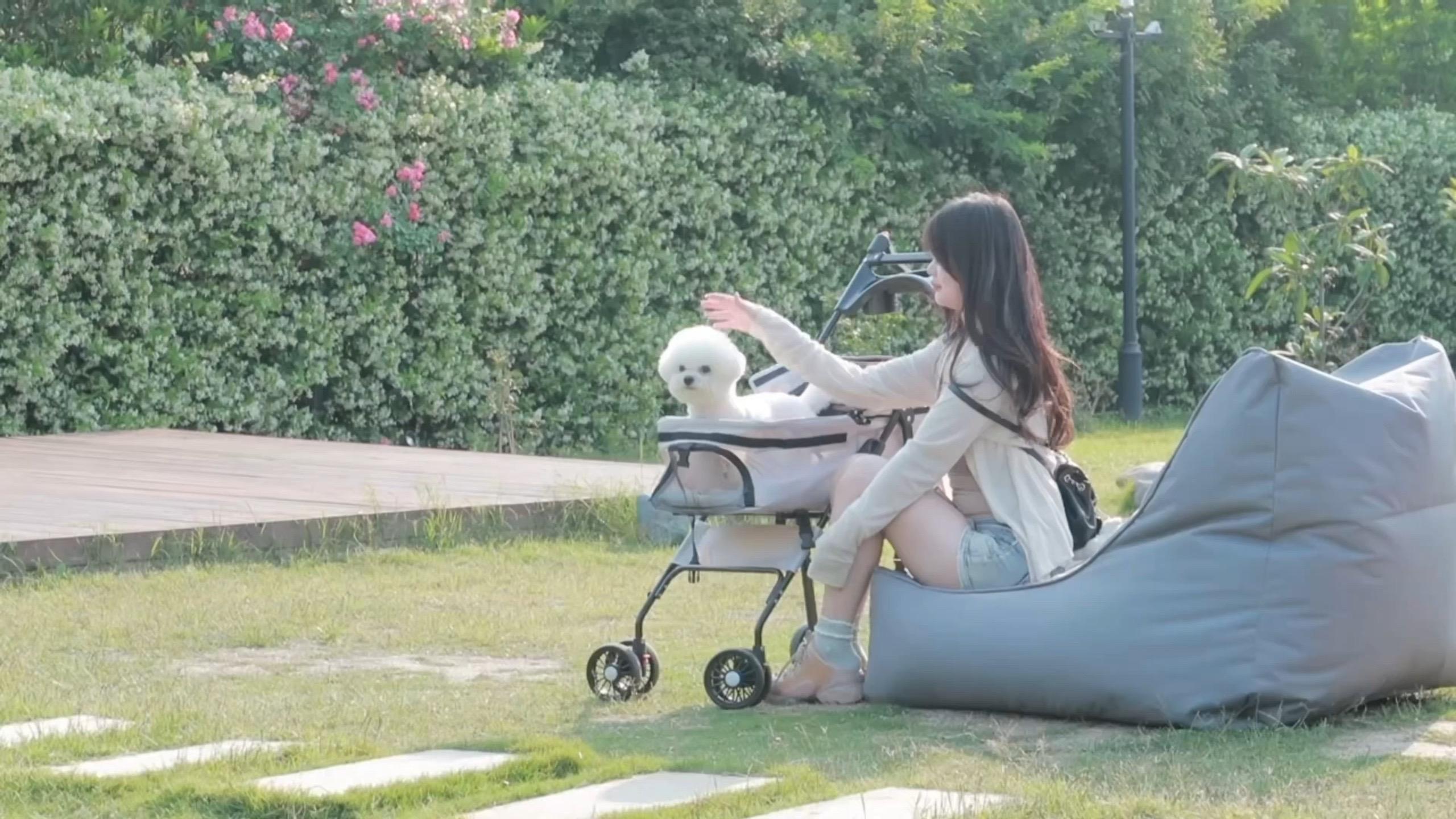 永远呆在妈妈身边做妈妈乖乖的小狗吧