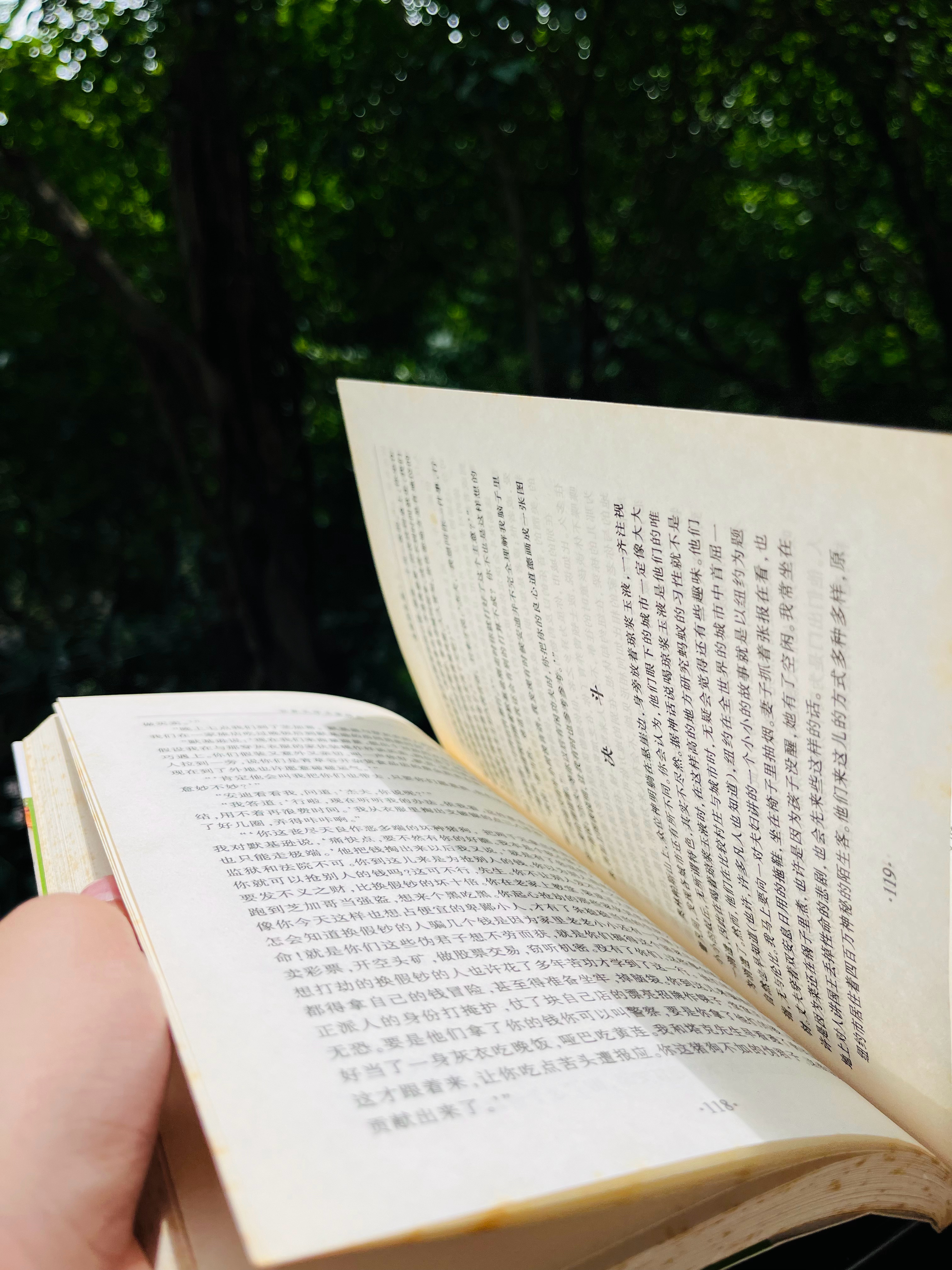 哪张动态瞬间让你反复看一百遍 荣耀600看书时的窗外风景动态瞬间我能反复看一百遍