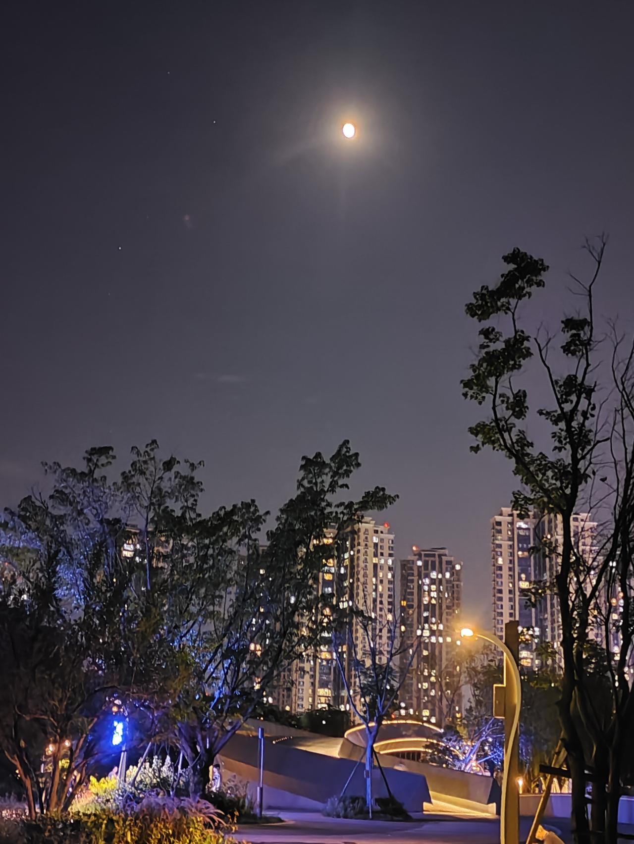 晚饭后下楼去公园漫步，不经意一抬头，便与悬于半空的圆月撞了个满怀。那清辉倾洒，将