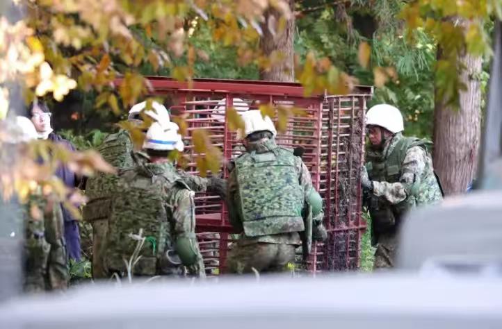 日本近来频频传出熊出没事件，还有民众遭熊攻击受伤甚至死亡。其中秋田县传出今年已有