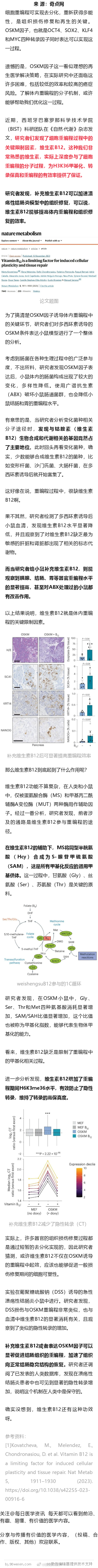 《自然·代谢》：维生素B12促进受损组织修复！科学家发现维生素B12深度参与细胞