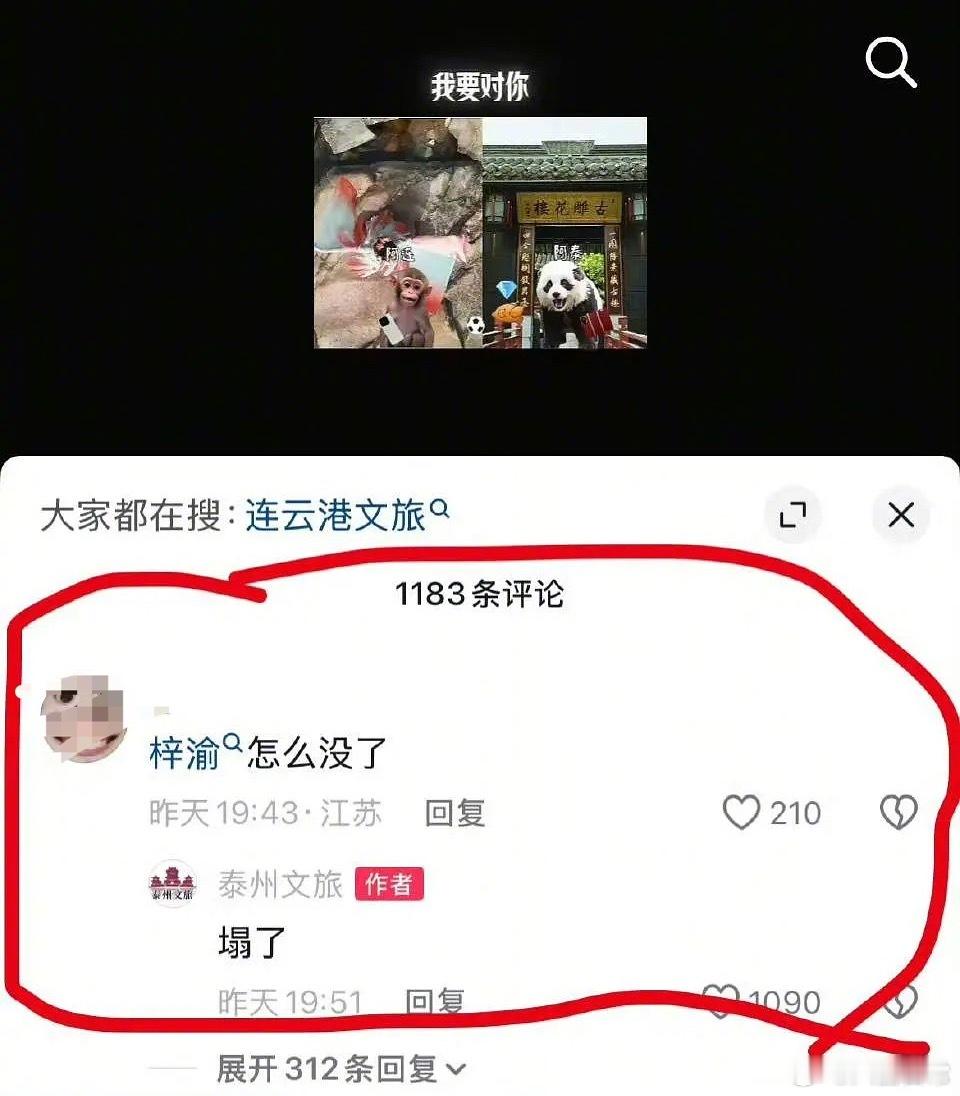 梓渝怎么没了？泰州文旅回复：塌了 ​​​
