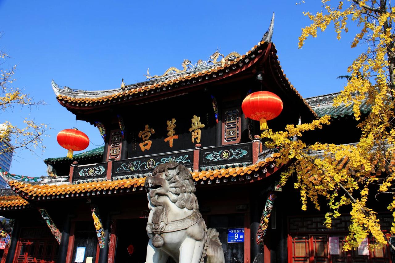 【冬日艳阳天 打卡青羊宫】20241215

连续多日阴雨天，昨天终于出太阳了。