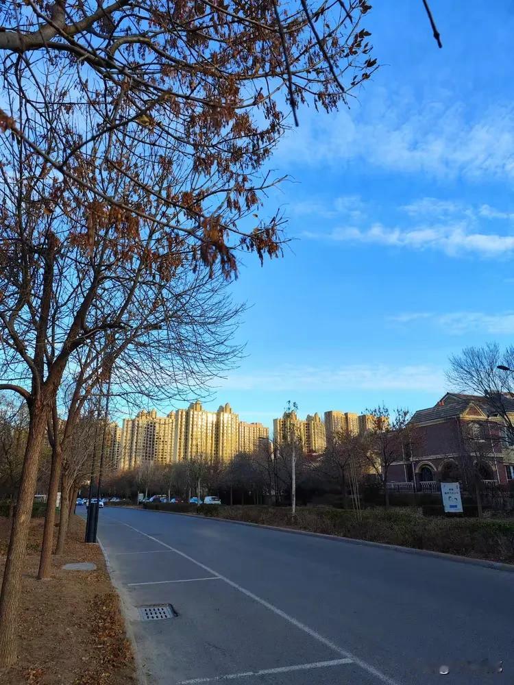 冬日的武汉晨光，是这座城市最温柔的时刻。