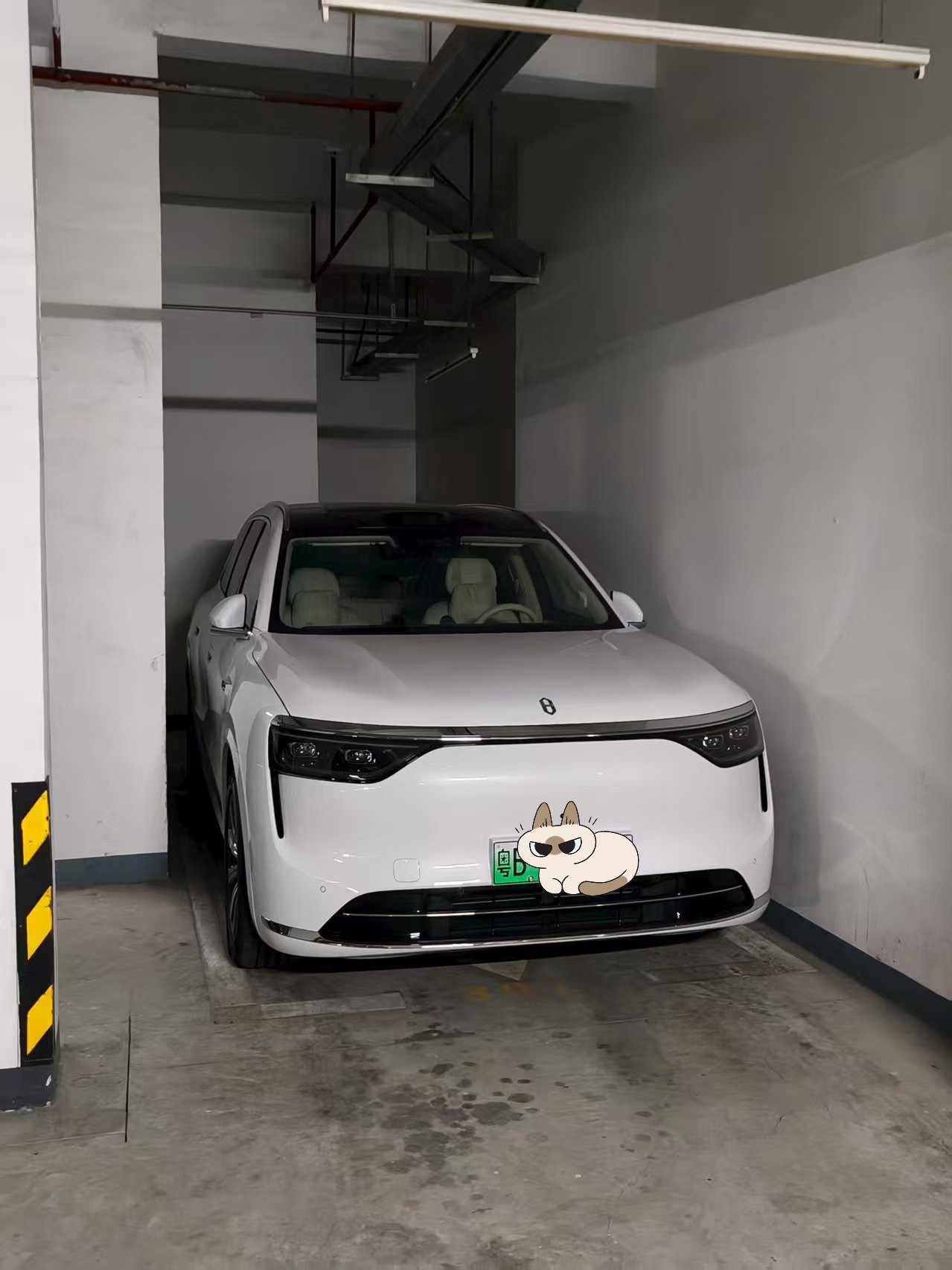 昨晚回来只剩下这样一个很极限的车位，正常人应该是很难停进去的，我下车直接用离车泊