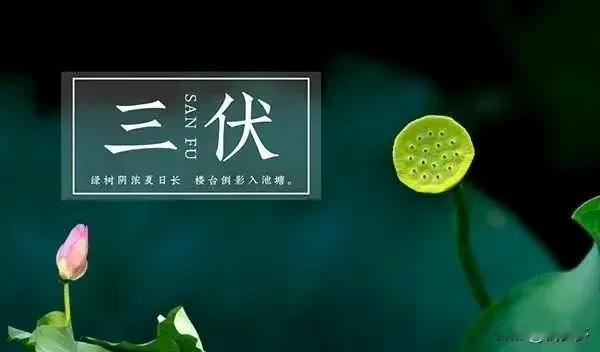 今年的“三伏天”将持续40天。俗话说，“小暑不算热，大暑三伏天。” 2024年的