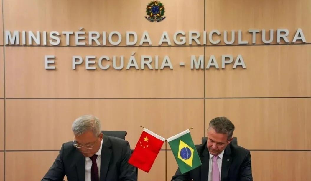 重磅！中巴正式签约！巴西牛黄获准输入中国
🇨🇳🇧🇷重磅！中巴正式签约！巴