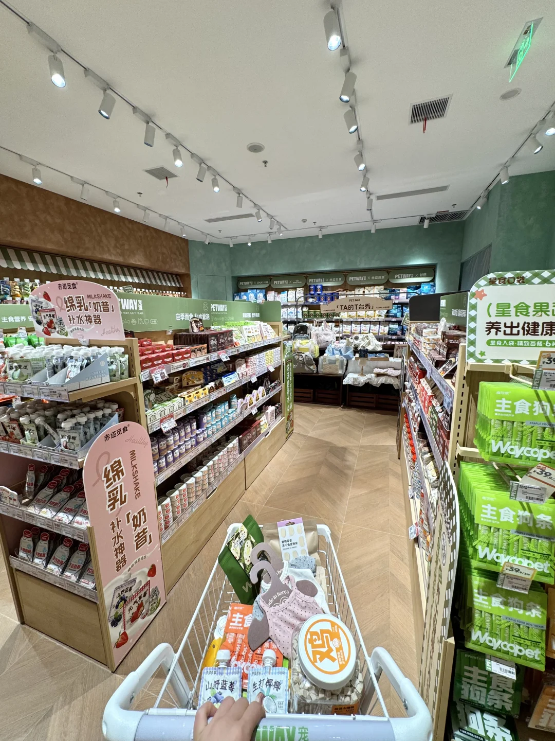 谁懂啊！带小狗逛店幸福感爆棚～🦮