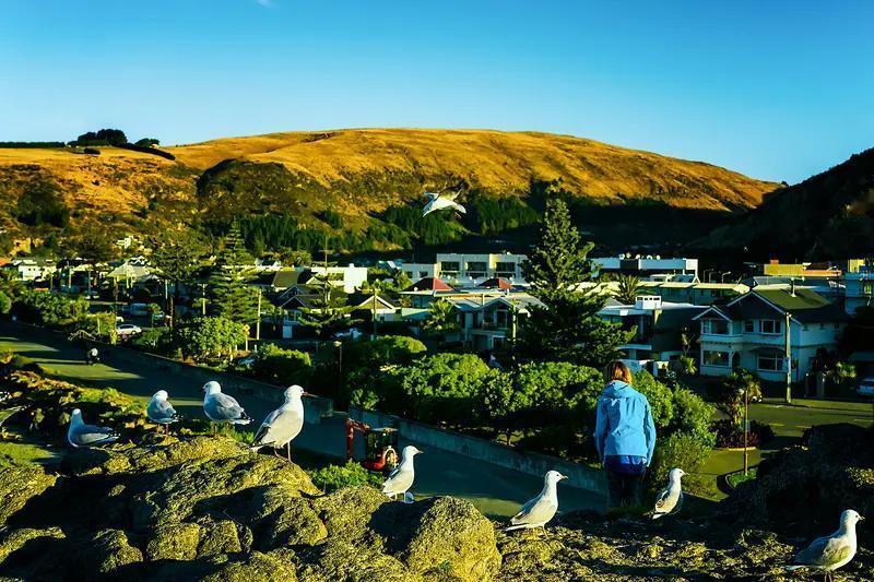 据新西兰媒体消息，当地时间12月20日，奥克兰南部街头上演了一场紧张对峙。一个新