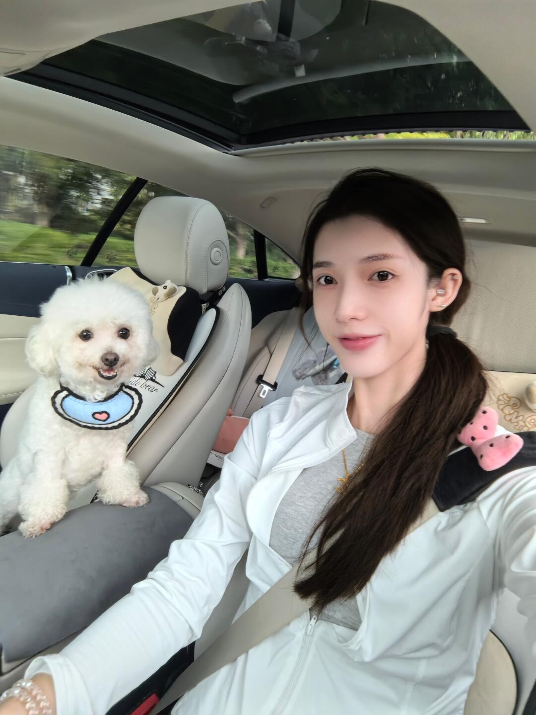 我的e副驾位子给小狗