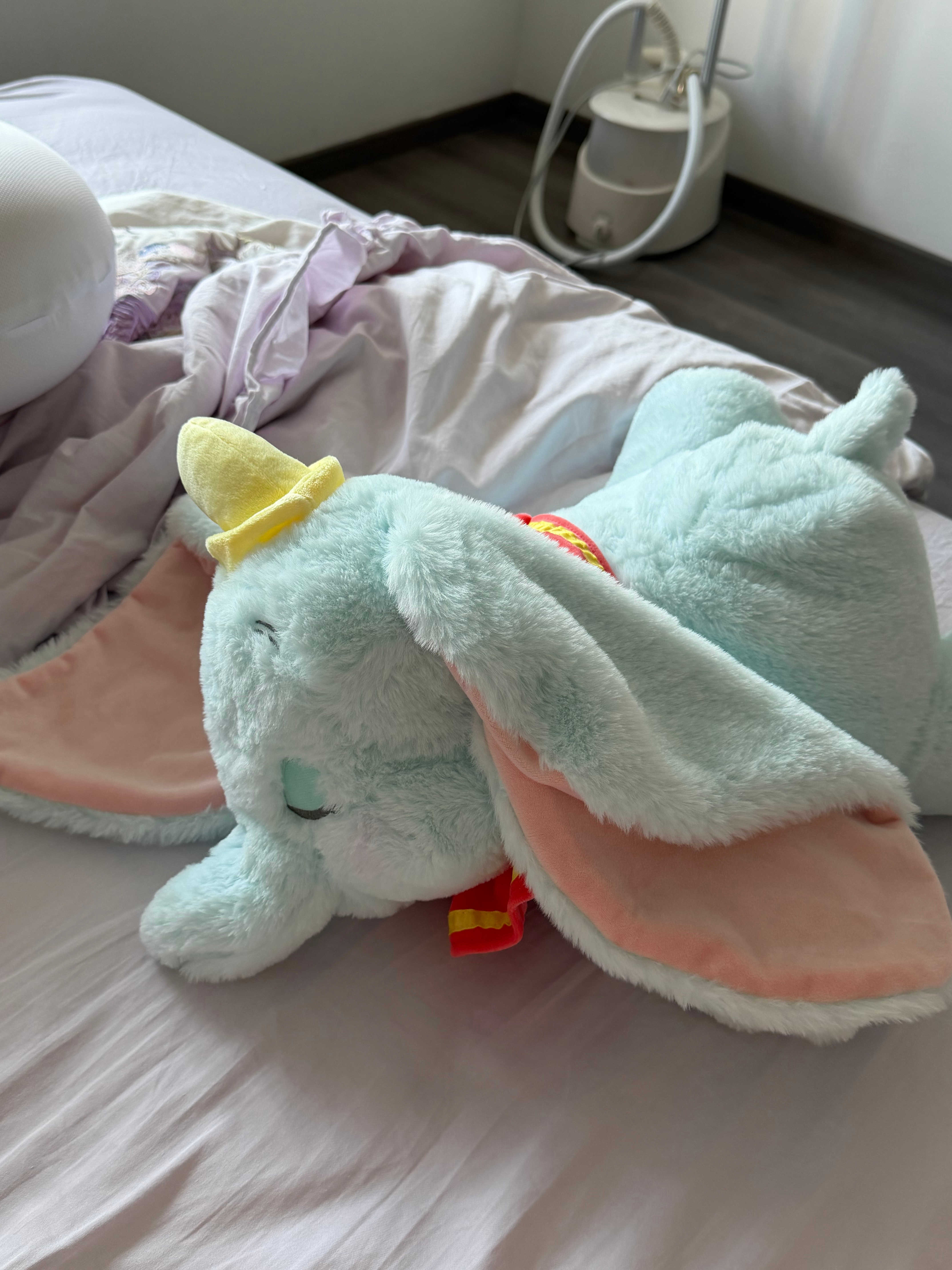 给你们介绍一下 这是我的新朋友 泡泡 