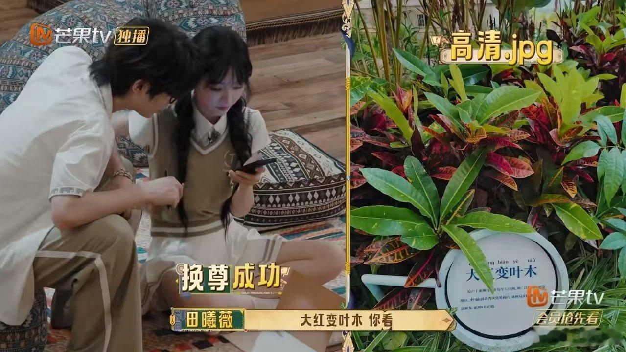 谁来管管田曦薇的拍照技术 完全被田曦薇的拍照操作整乐了！认认真真举相机拍线索，复