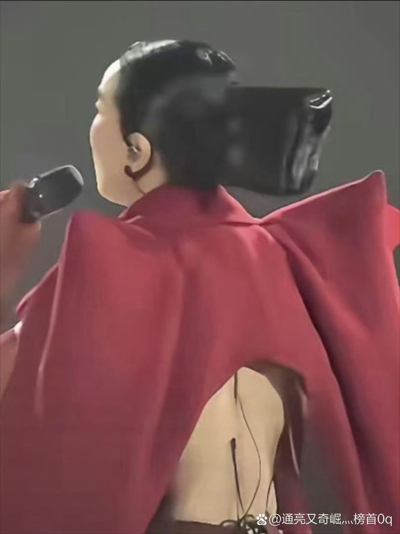那英演唱会设计的衣服好奇葩 ​​​