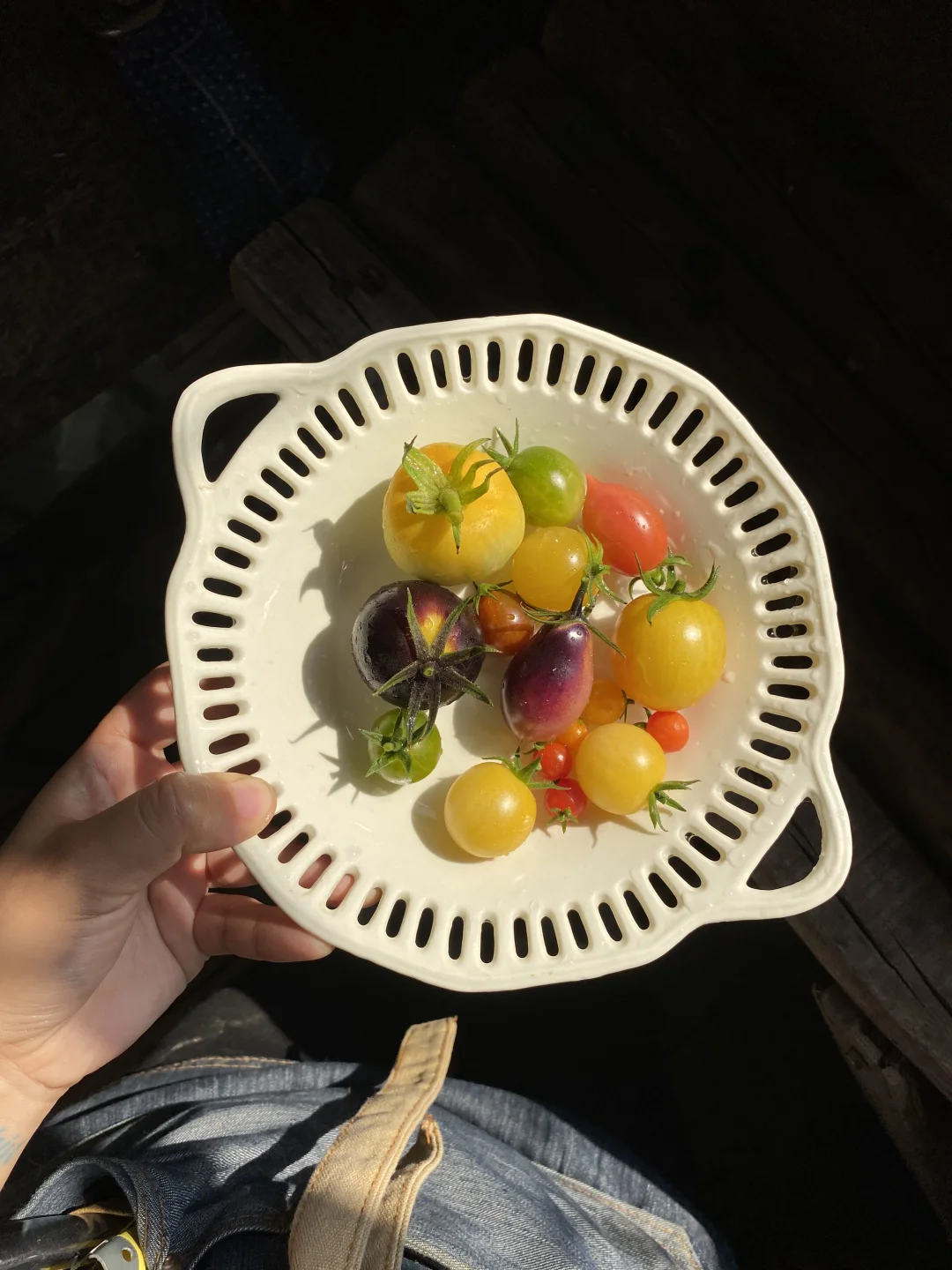 一些「番茄美学」🍅