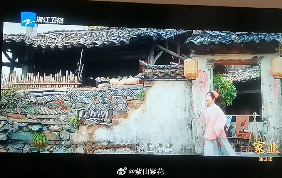 浙江卫视家业家业第二集十年后小李祯长大啦成了大姑娘李祯了婷婷玉立的李祯吼吼看
