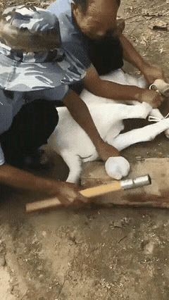 满屏幕的痛不欲生，就没有其他少些痛苦的办法吗？