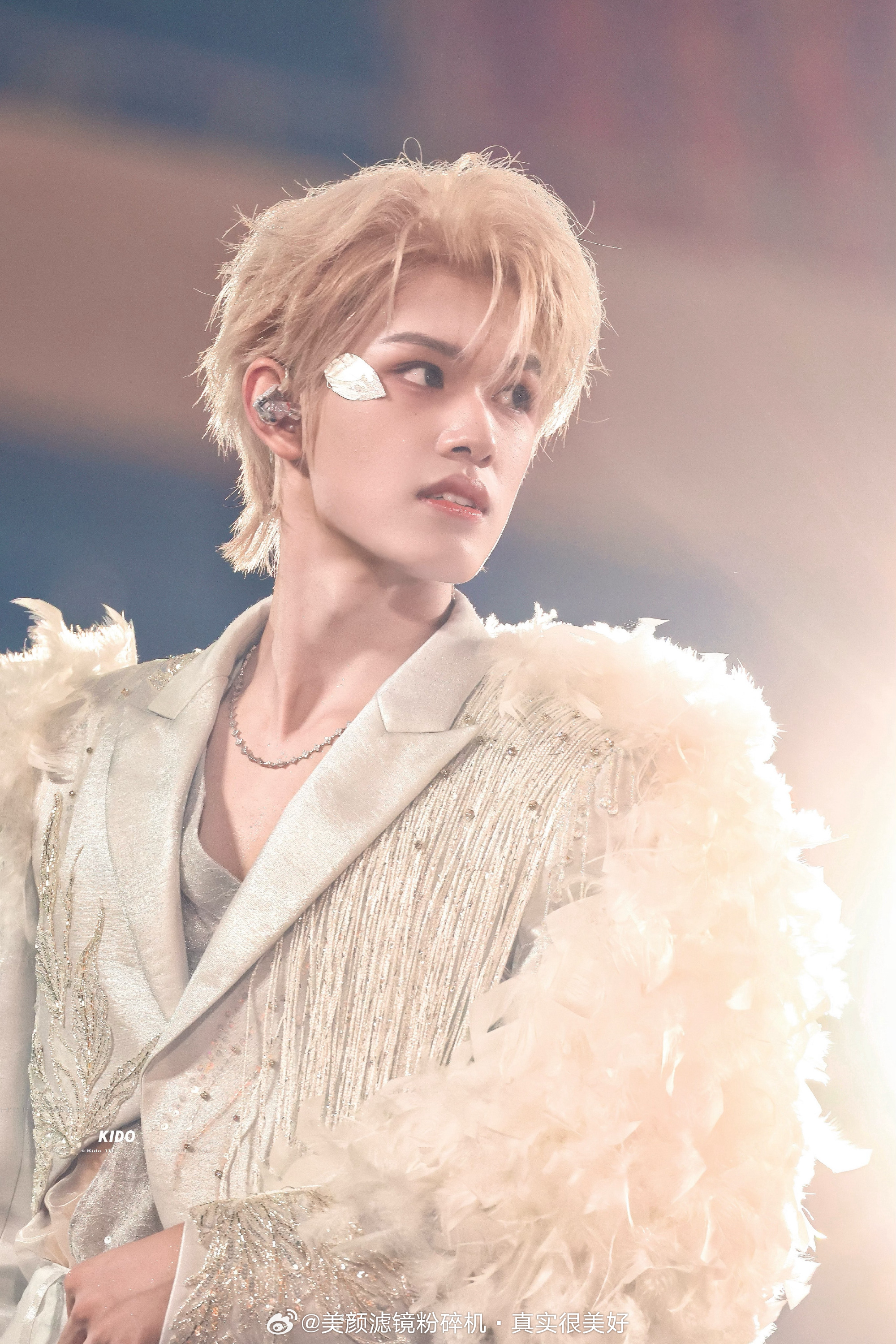 张极演唱会饭拍 cr logo 