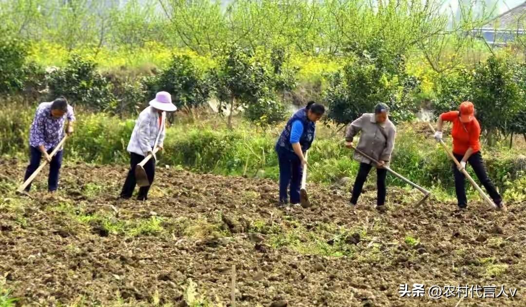 农村纯朴不再有，农村人的“恶”使你防不胜防。
 
去年春天，三叔把村东头那3亩荒