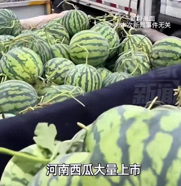 河南，一男子看到老家西瓜大丰收，拉了18吨到北京，想帮瓜农打开销路。定价8毛一斤