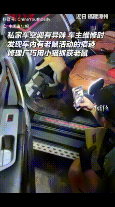 “果然专业的事得交给专业的猫！”福建，车主汽车空调有异味找不到原因，修理工拆开后