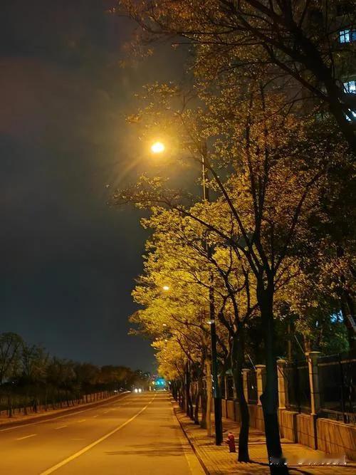 深秋夜雨三首
                         一
​雨浸寒宵初